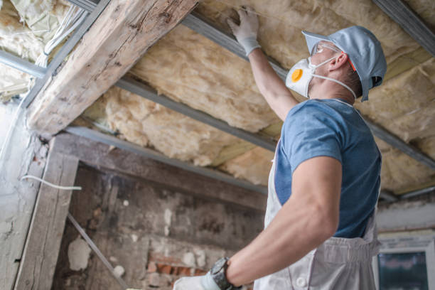 Best Residential Insulation in Laughlin Af, TX